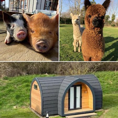 מלון סיטינגבורן The Piggery Pod מראה חיצוני תמונה