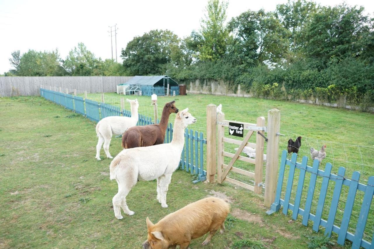 מלון סיטינגבורן The Piggery Pod מראה חיצוני תמונה